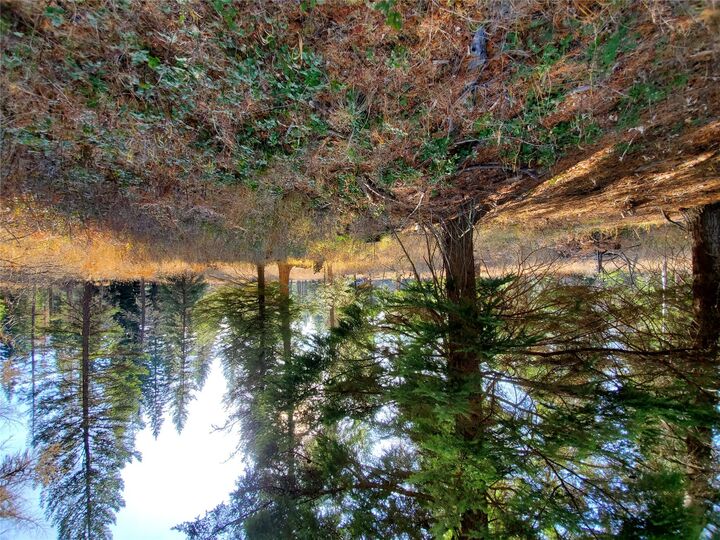 Property Photo:  177 Double Creek Lane  MT 59935 