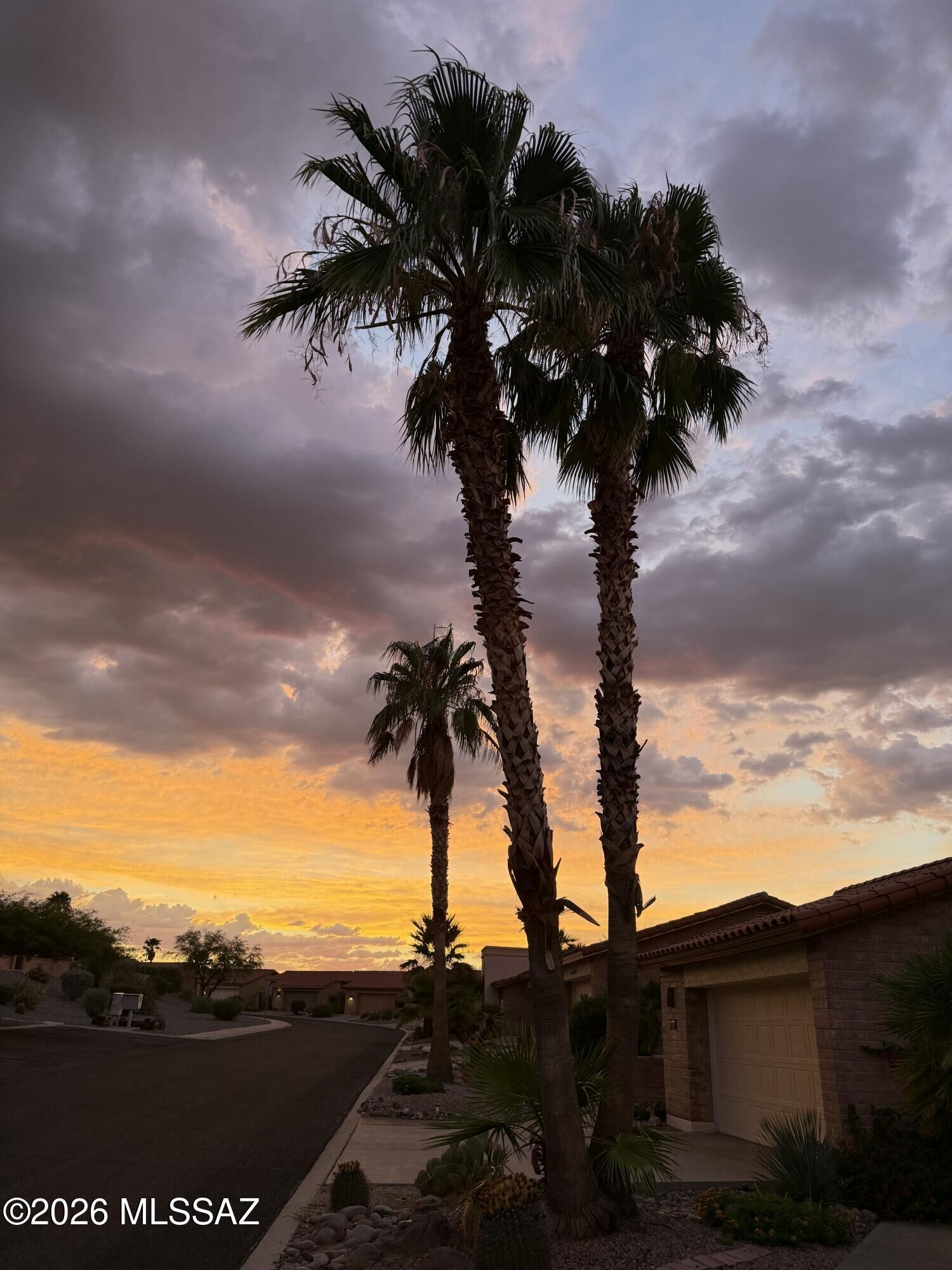 Property Photo:  1604 W Vuelta Salvatierra  AZ 85622 