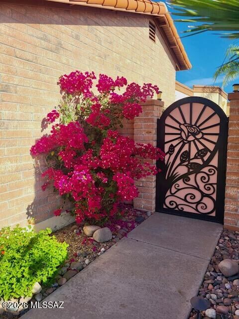 Property Photo:  1604 W Vuelta Salvatierra  AZ 85622 