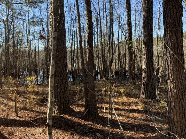 Property Photo: 944 Hunt Drive SC 29450