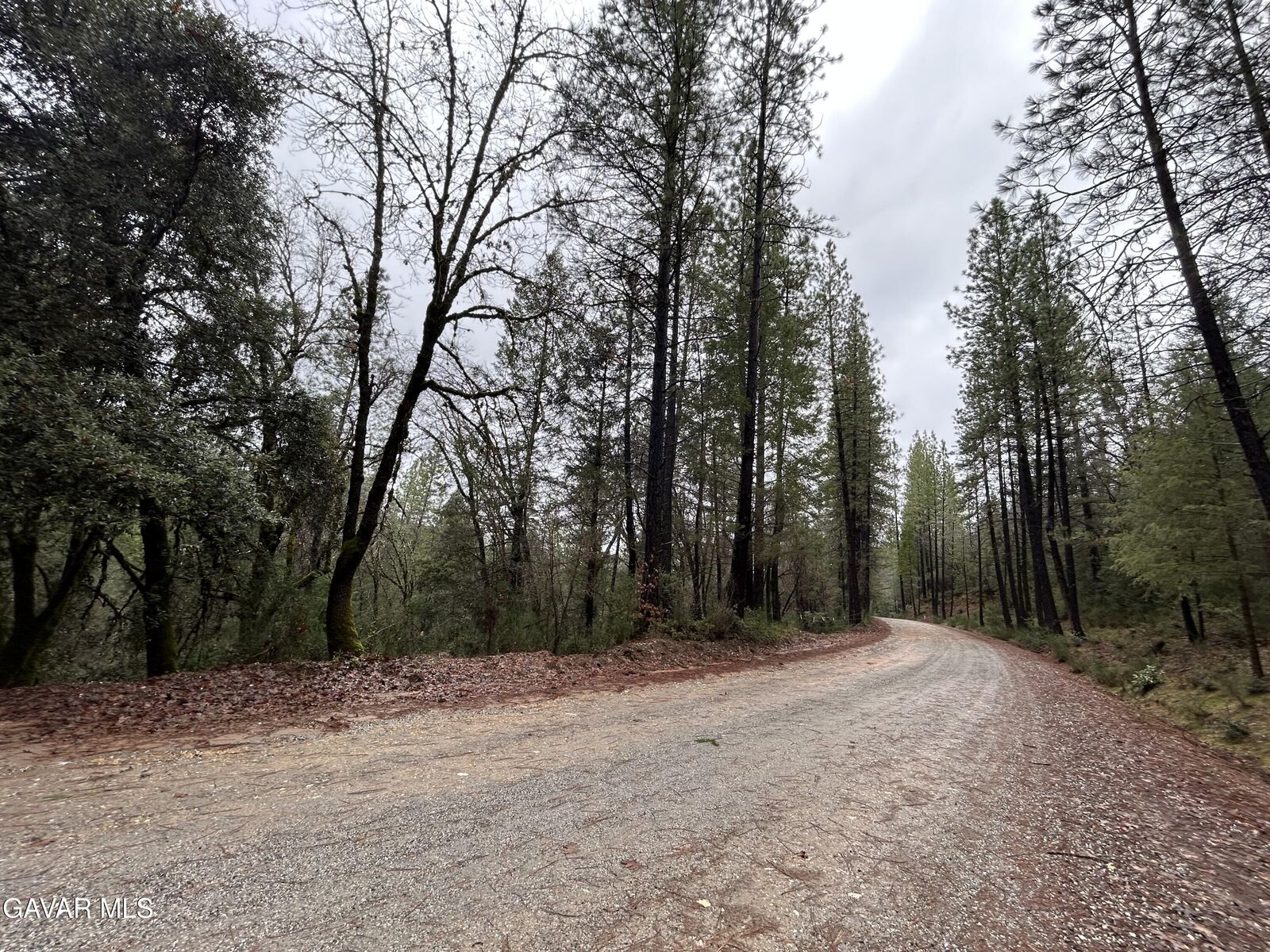 Property Photo: 14435 Grizzly Hill Road CA 95959