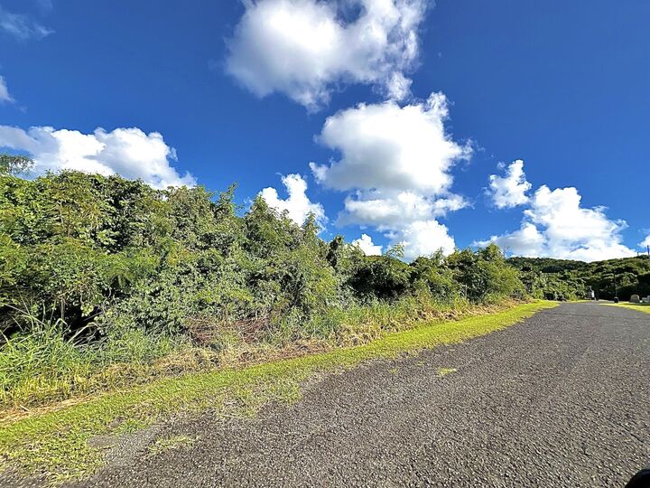 Property Photo: 5 Prosperity Nb VI 00840