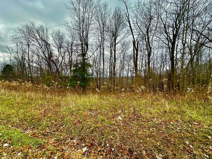 Property Photo:  0 Potts Hill Road  OH 45612 