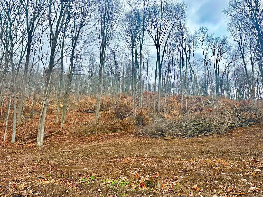 Property Photo: 0 Lower Twin Road OH 45612