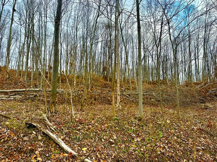 Property Photo:  560 Landrum Road  OH 45612 