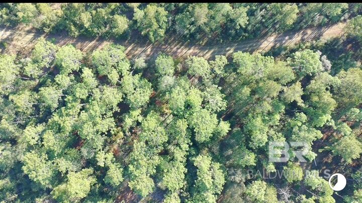 Property Photo: 0 Patterson Road AL 36567