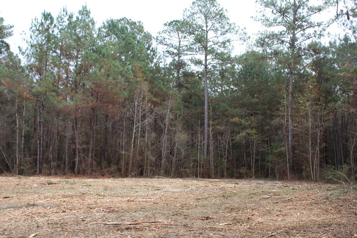 Property Photo: 100ac Co Hwy 183 FL 32455