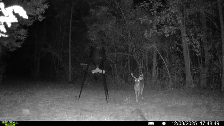 Property Photo: Parcel A&B Sunburst Drive FL 32539