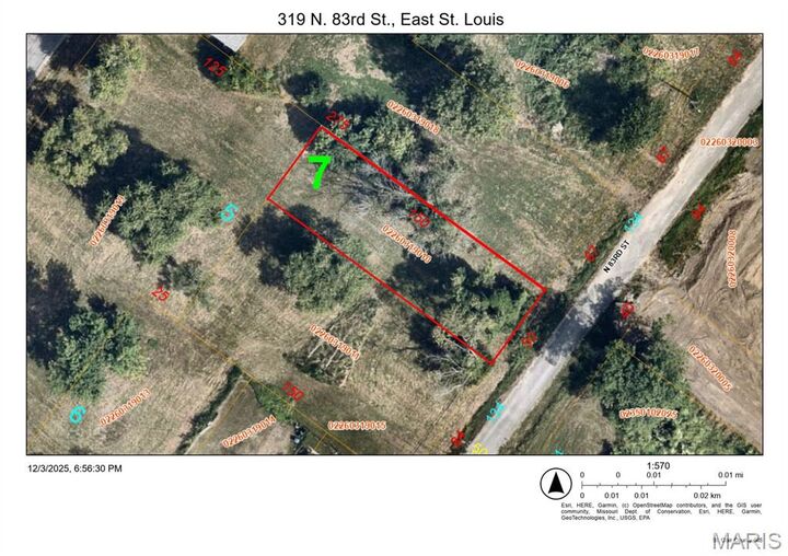 Property Photo: 319 83rd Street IL 62203