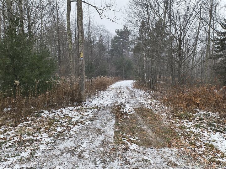 Property Photo:  90 Williamsburg Rd  MA 01098 