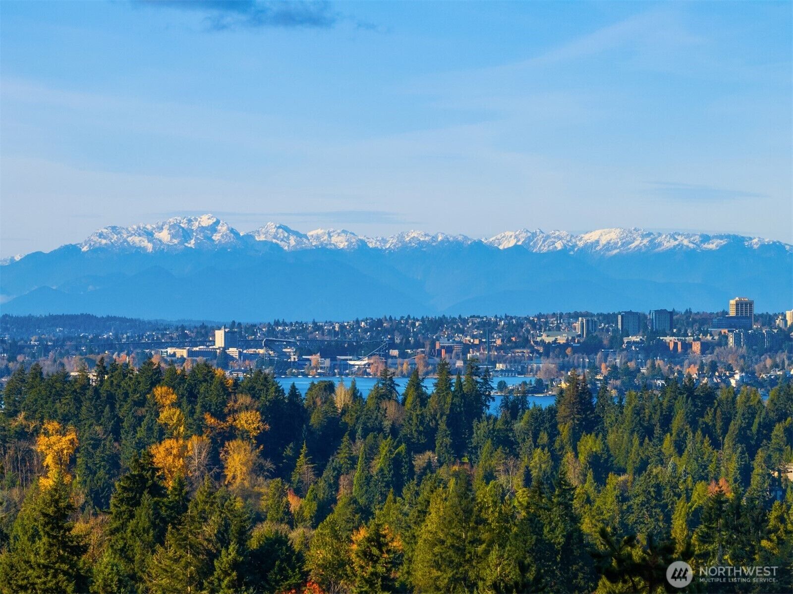 Property Photo: 2627 96th Avenue NE WA 98004