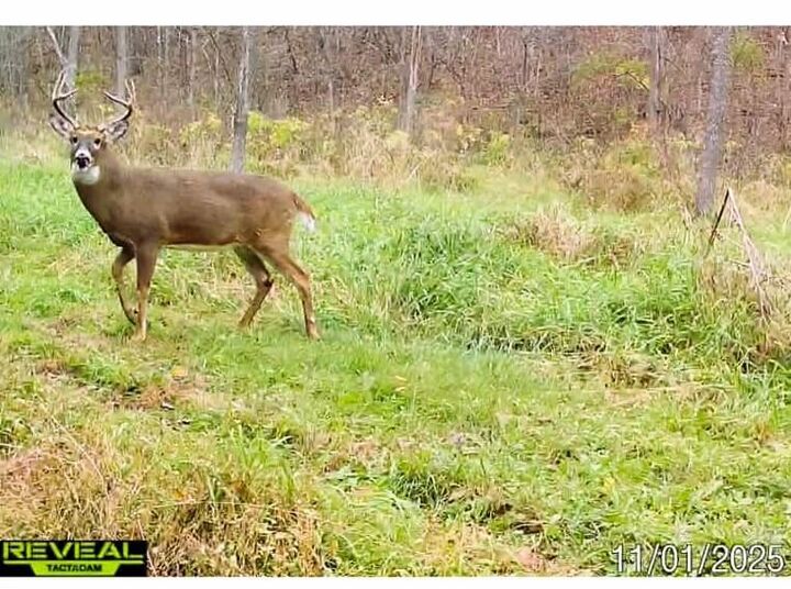 Property Photo: 190.81 Acres Deere Path Lane WI 53581