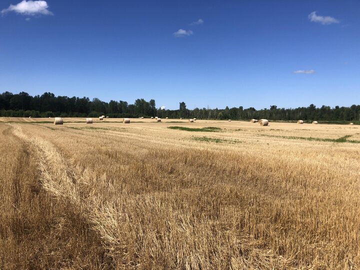 Property Photo: V/L 40ac Long Rapids Road MI 49753