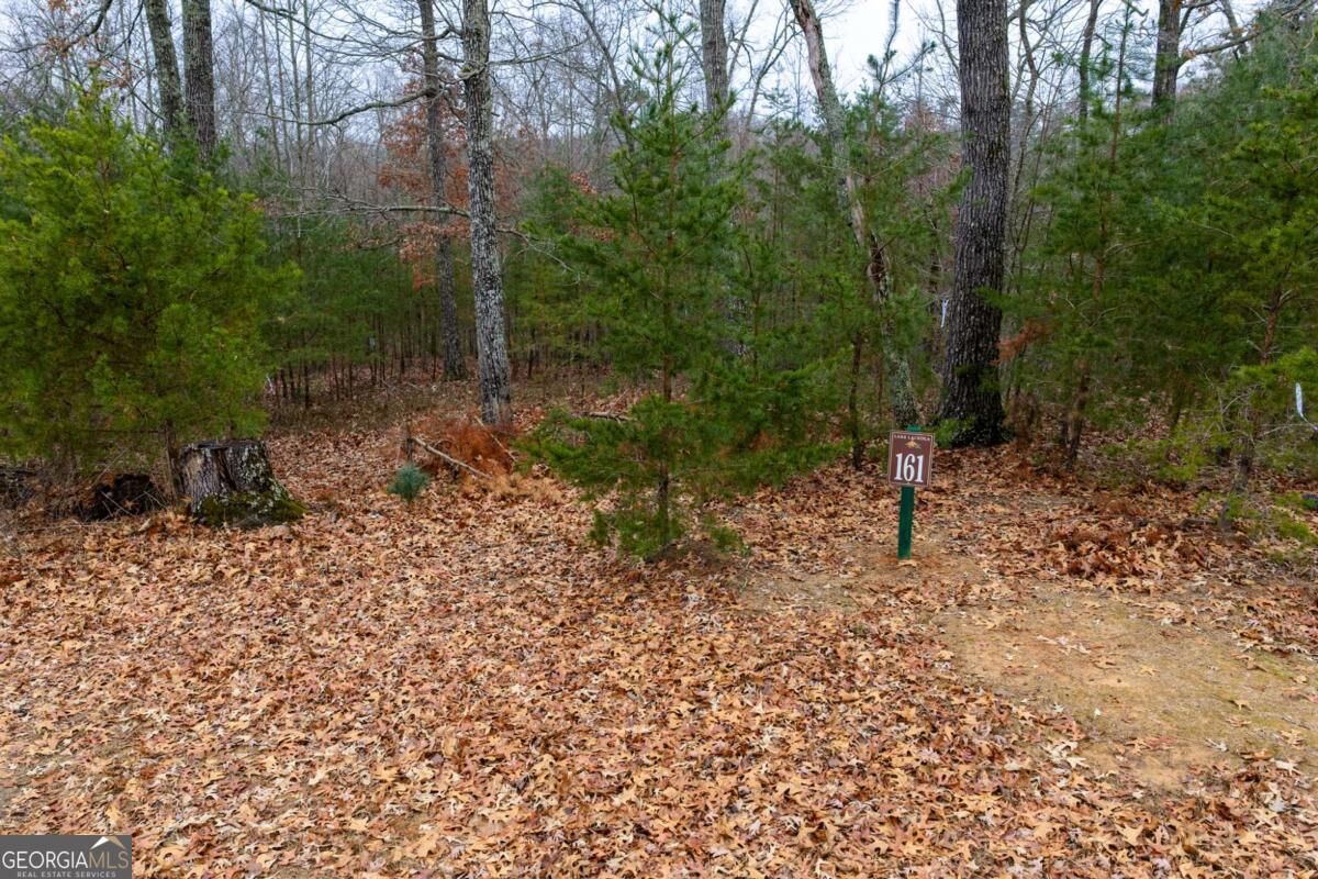 Property Photo: 161 Headwaters Court Lot 161 GA 30528