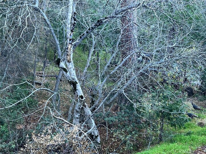 Property Photo:  0 Snowy Creek Way  CA 93614 