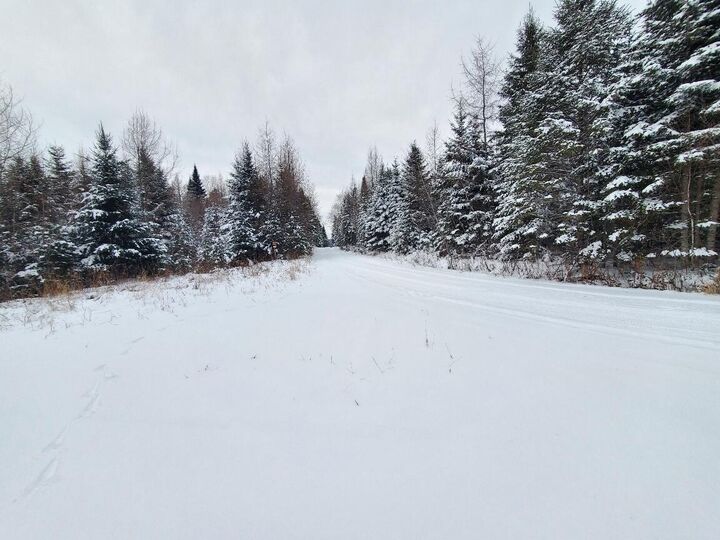 Property Photo:  0 Off Jemtland Road Lot 82.5  ME 04736 