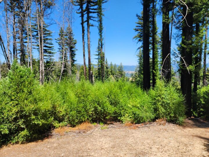 Property Photo: 20604 Little Basin Road CA 95006