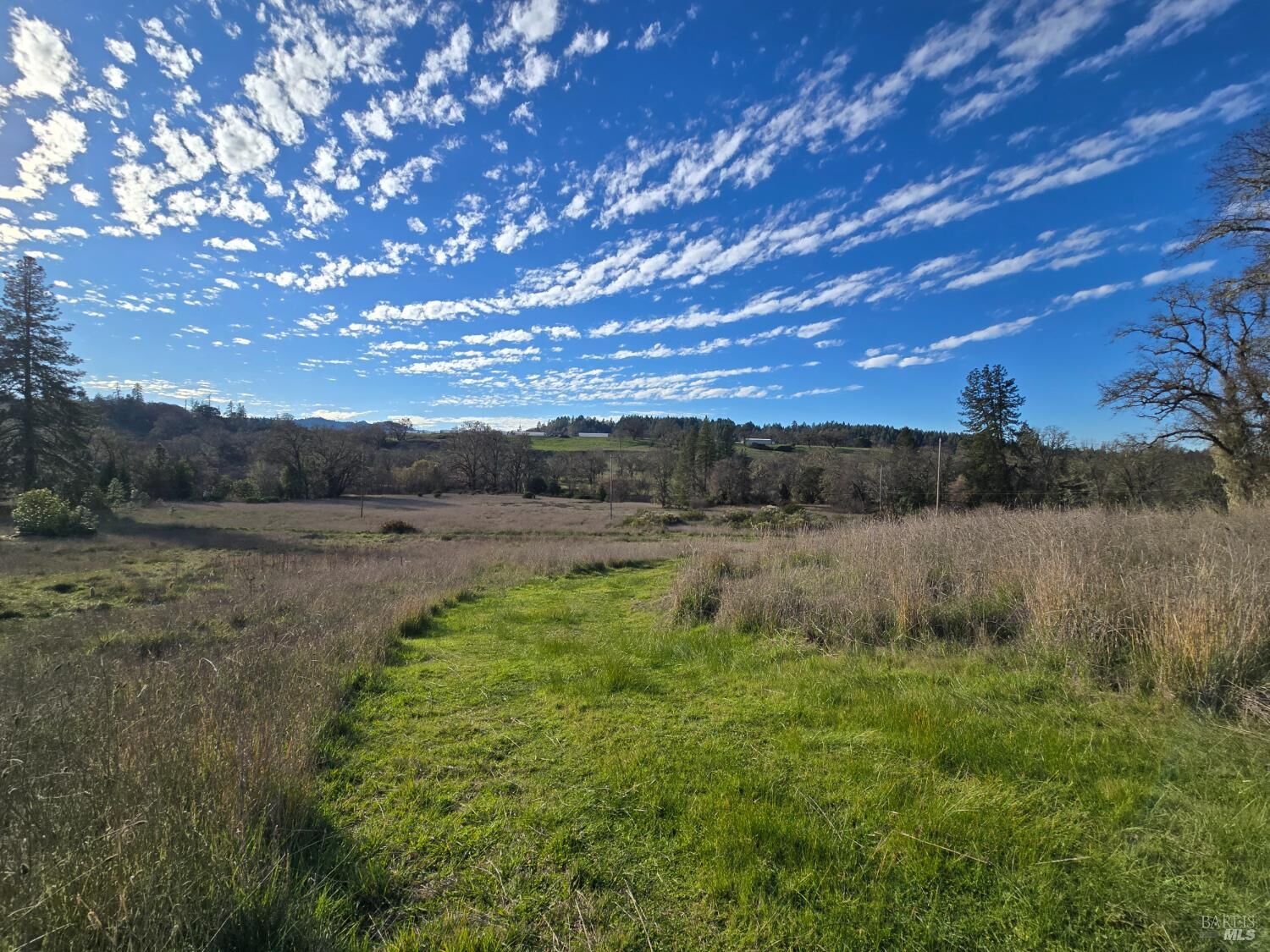 Property Photo: 0 Ridgewood Road CA 95490
