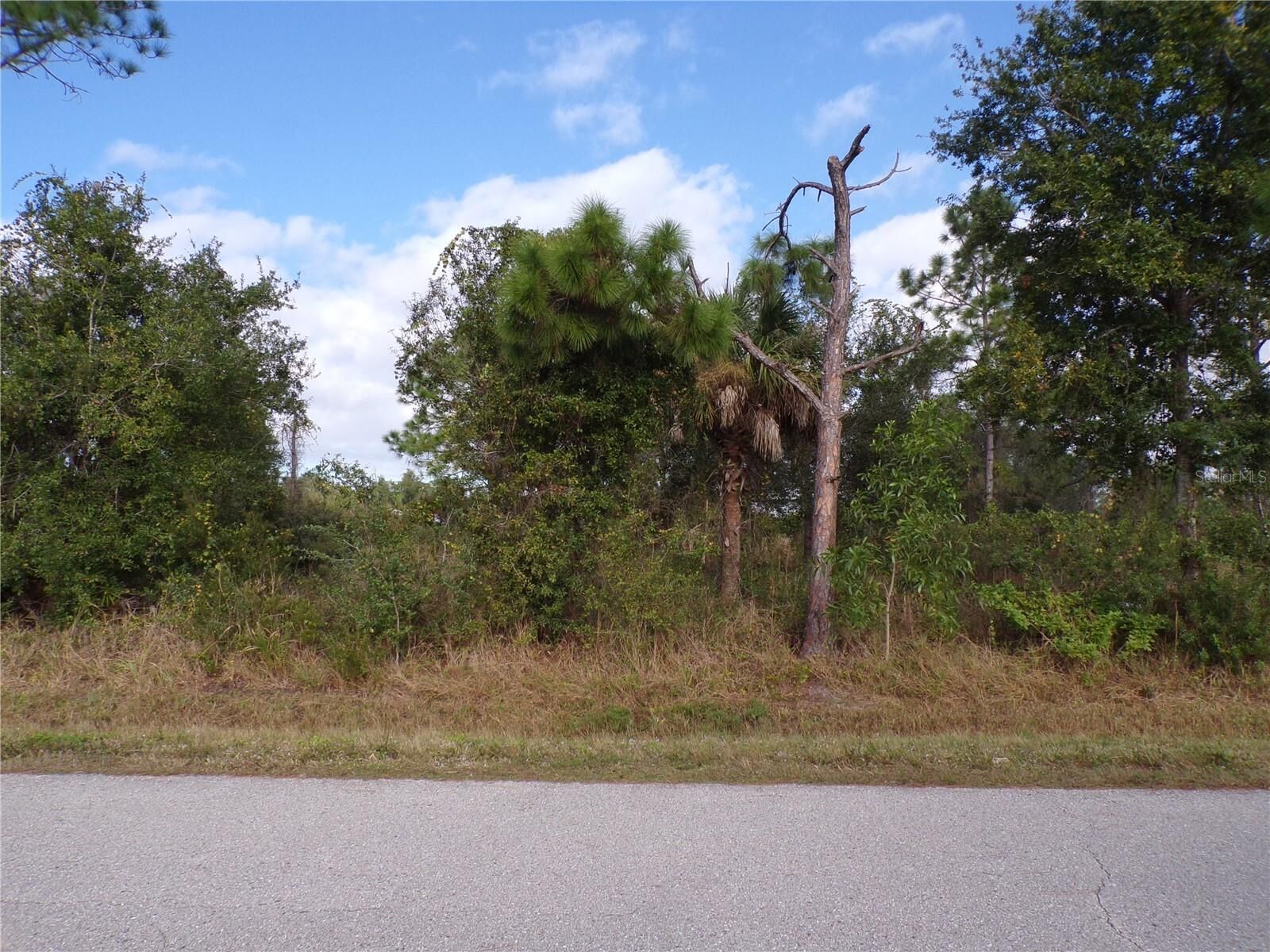 Property Photo:  12069 Borax Avenue  FL 33955 