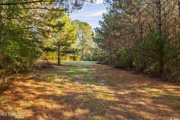 Property Photo: Katie Bush Road MS 39149