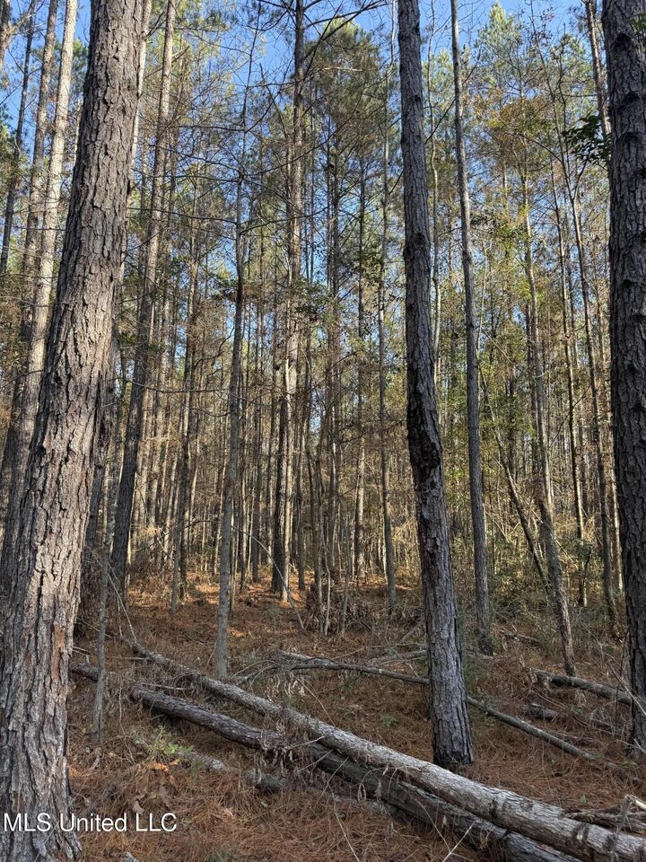 Property Photo: Corbit Boulevard MS 39456