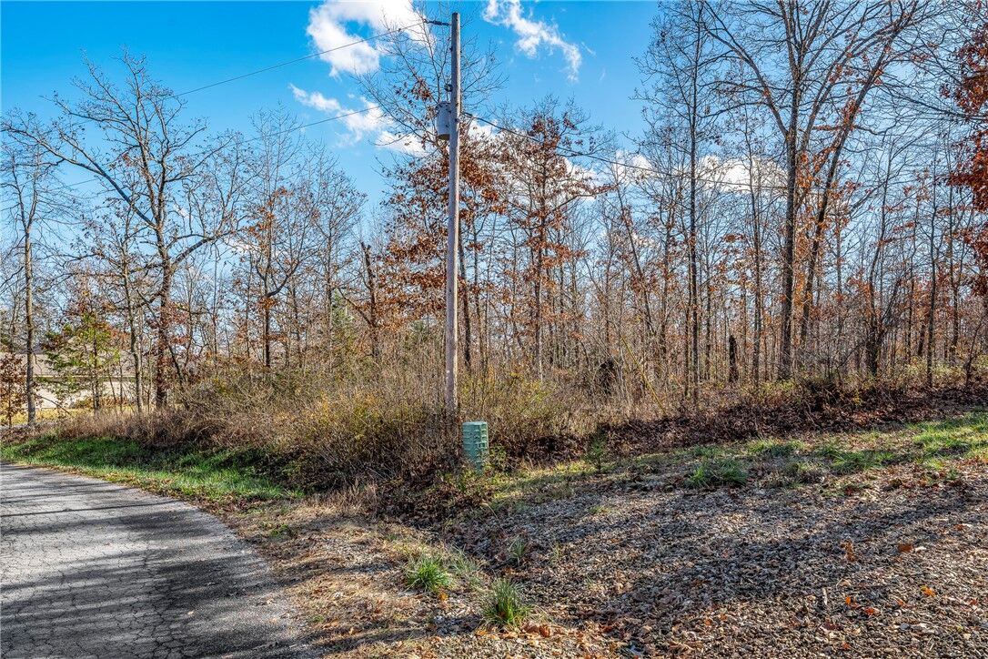 Property Photo: Lot 27 Argyll Drive AR 72715