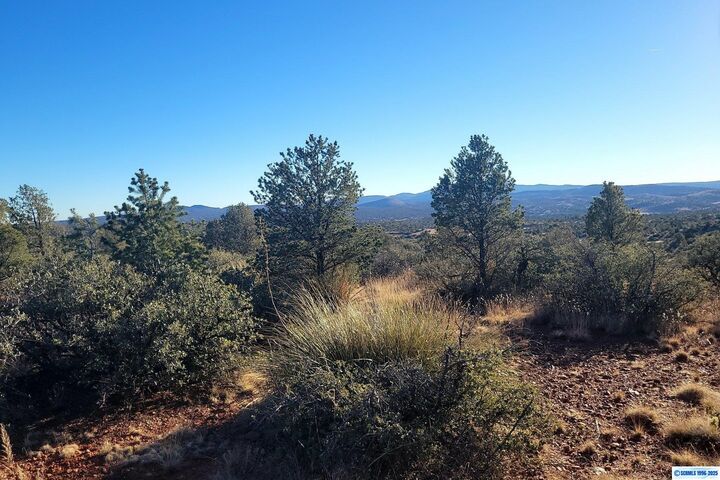 Property Photo: Xx Mesita Circle NM 88061