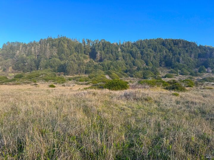 Property Photo:  40101 Ca 1  CA 95488 