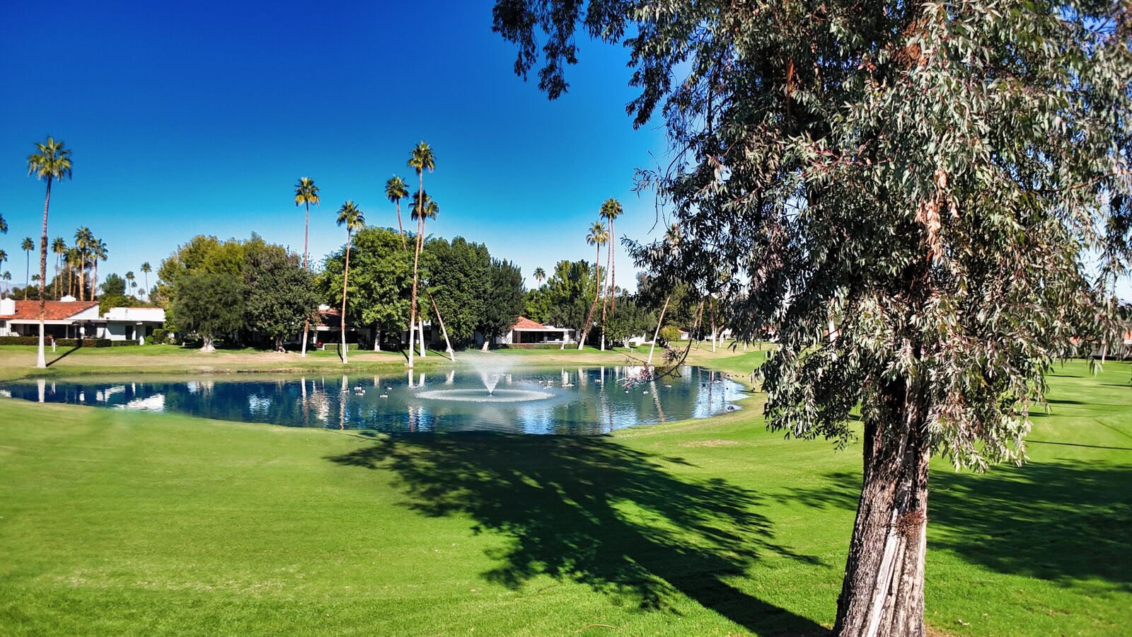 Property Photo: 73 Marbella Drive CA 92270