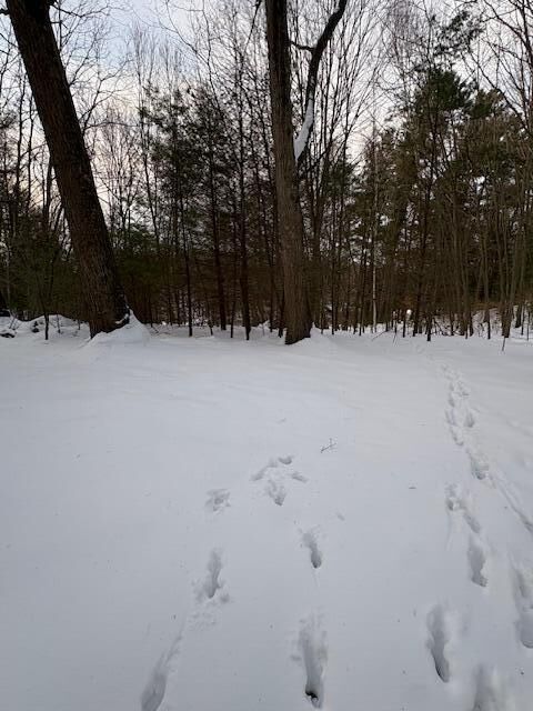 Property Photo:  Vl Bayou Road  MI 49437 