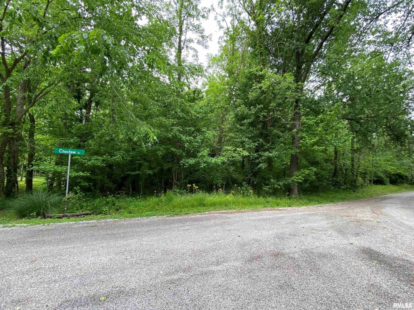 Property Photo: Lot 4 Choctaw Drive IL 62901