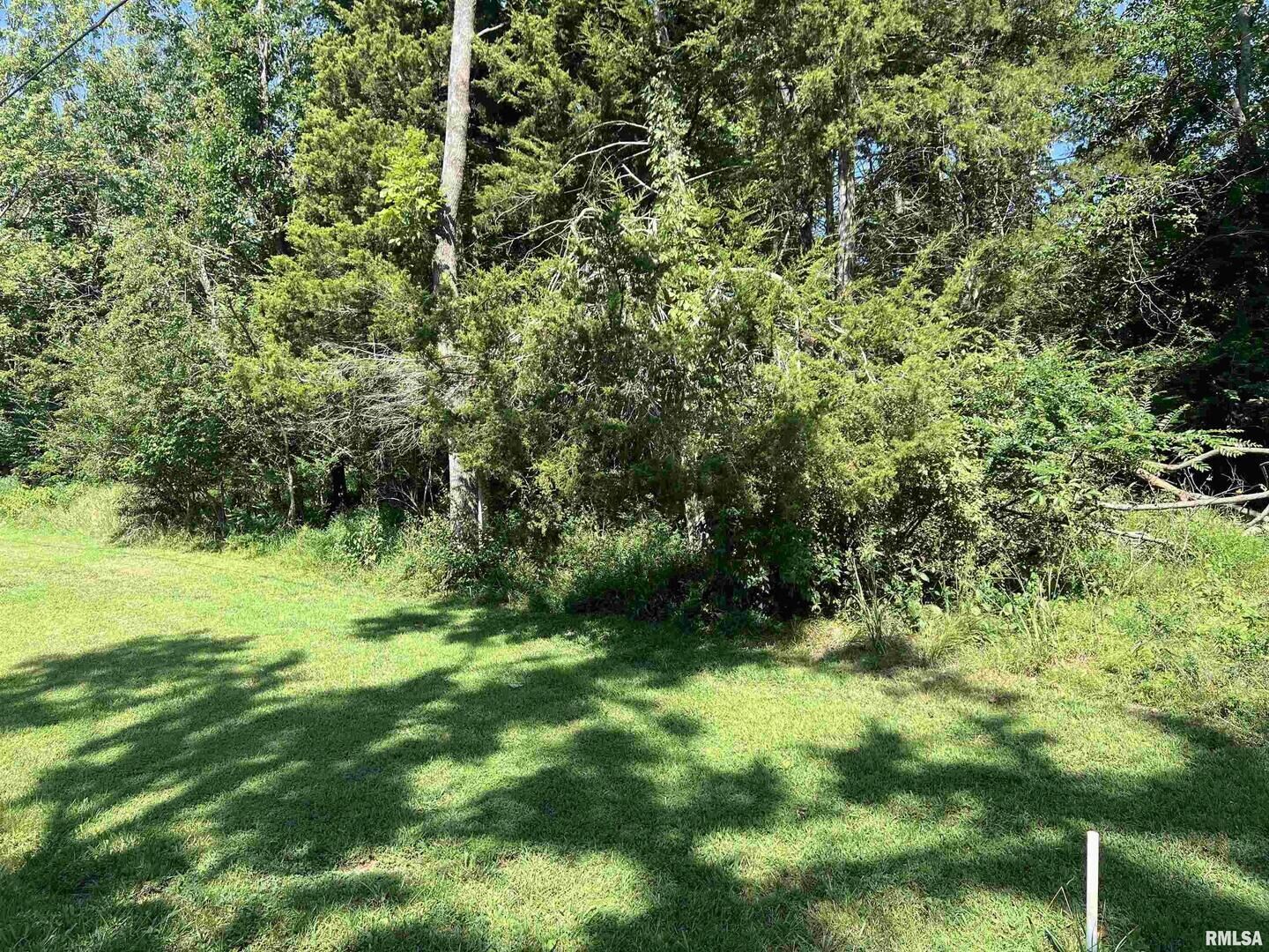 Property Photo:  000 Thebes Way  IL 62922 