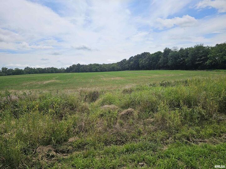 Property Photo:  0000 Roseborough Road  IL 62286 