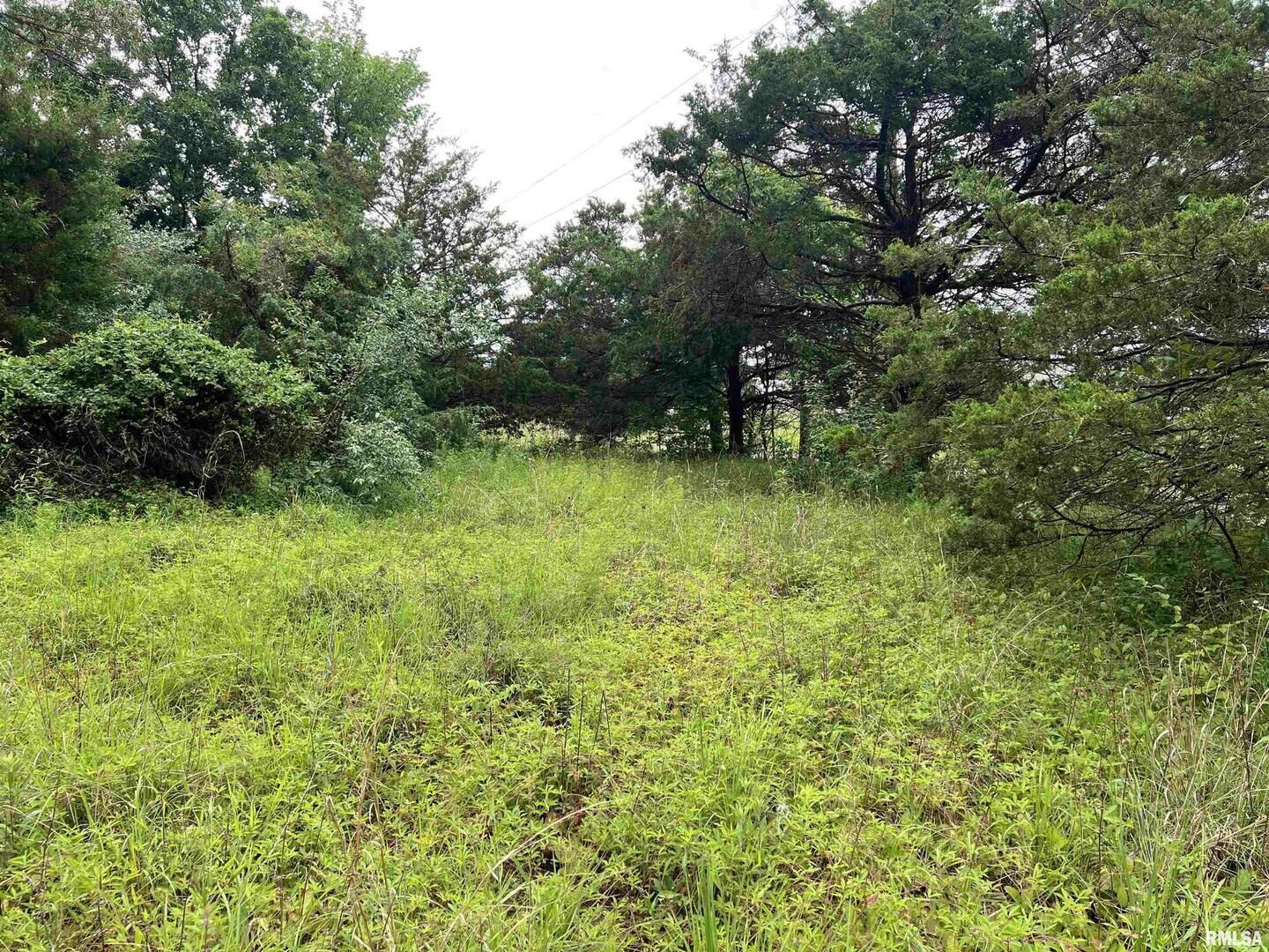 Property Photo:  Lot 211 Cherokee Drive  IL 62939 