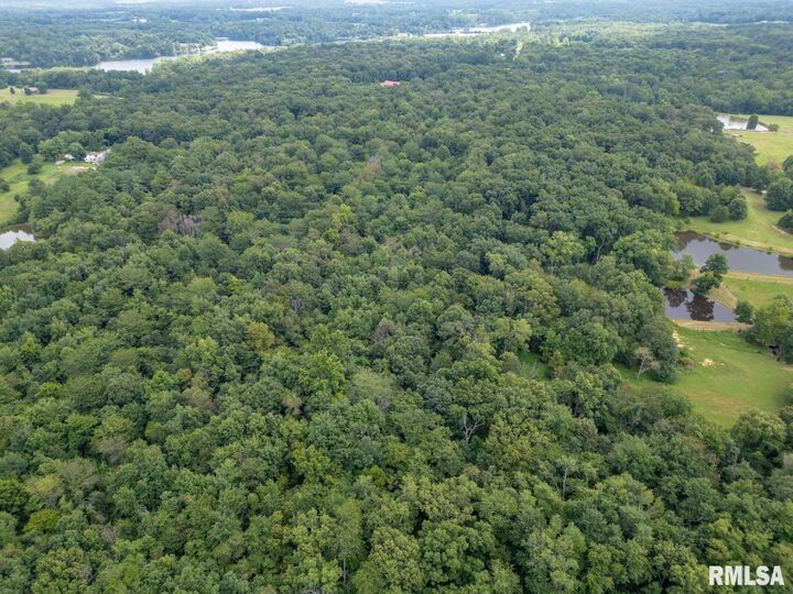 Property Photo: 2655 McReynolds Lane IL 62896