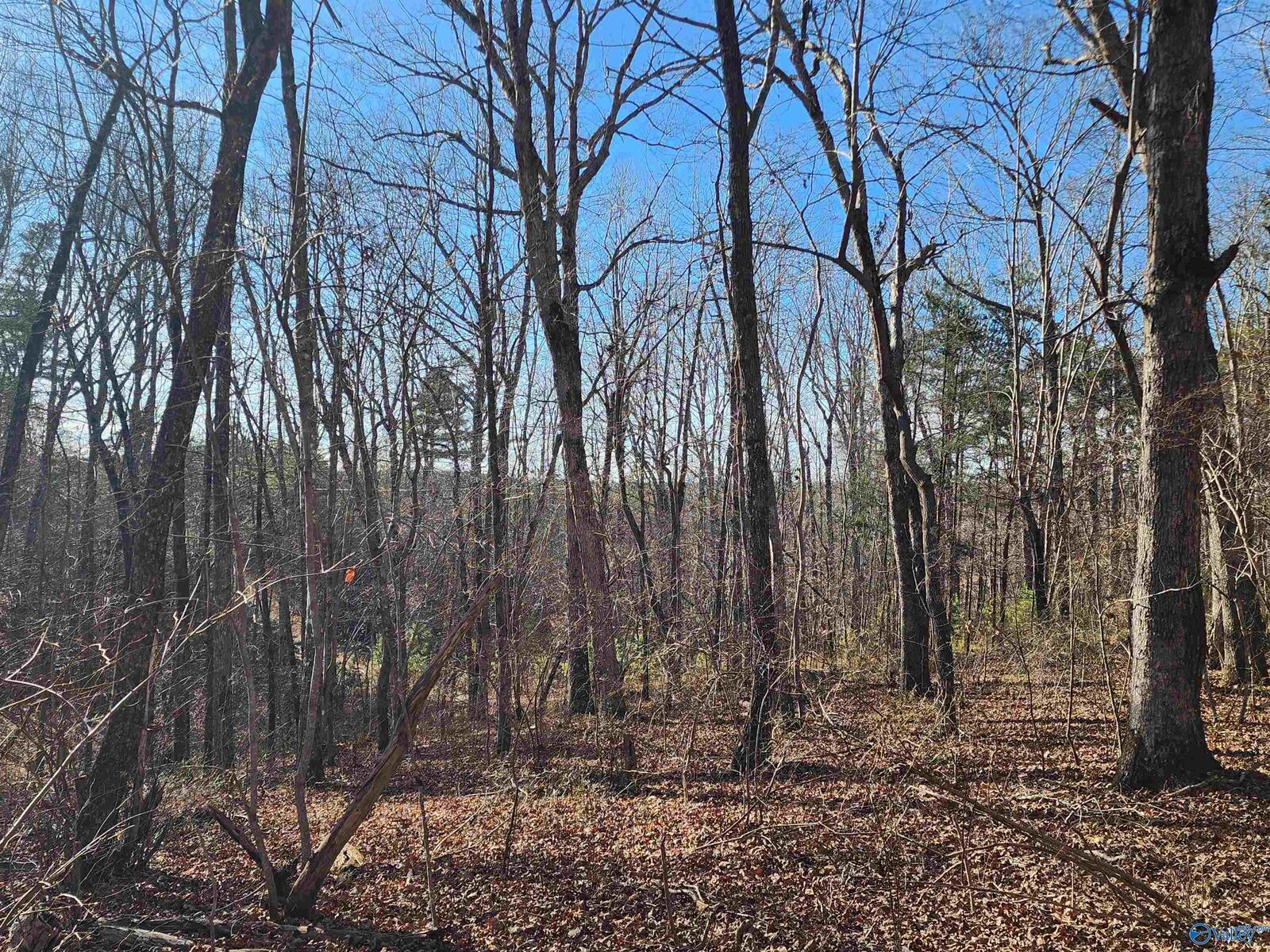 Property Photo:  Lot 35 Road 9050  AL 35984 