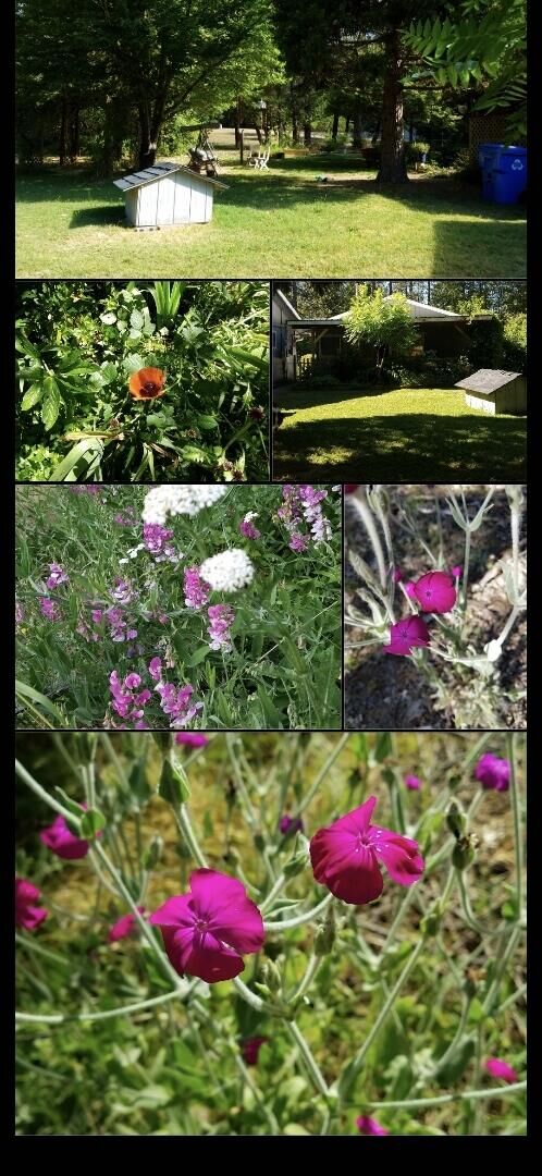 Property Photo:  234 Penny Lane  OR 97527 