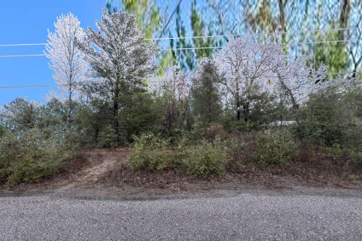 Property Photo:  Lot 6 Blk 14 E Tiger Lily Lane  FL 32433 