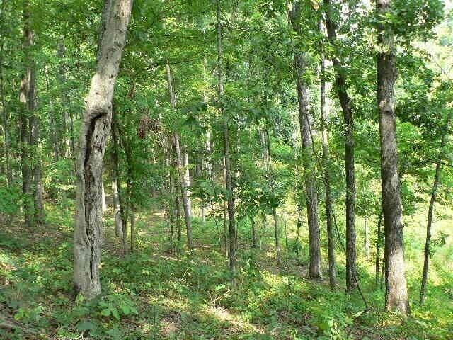 Property Photo:  0 Duncan Bridge Road  GA 30528 