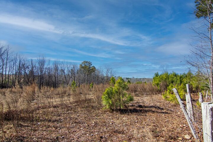 Property Photo: Tract 5 - 0 Chestnut Grove Road GA 31826