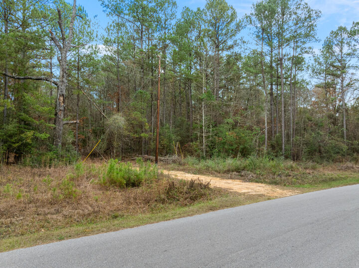 Property Photo: 83.50 Acre Guthrie Carter Rd. MS 39459