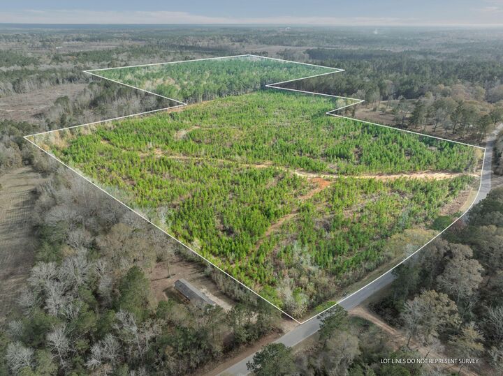 Property Photo:  83.50 Acre Guthrie Carter Rd.  MS 39459 