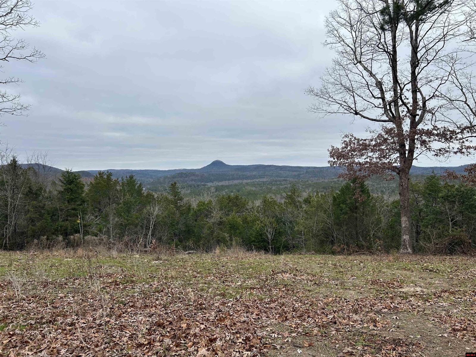 Property Photo:  6895 Jumbo Road  AR 72566 