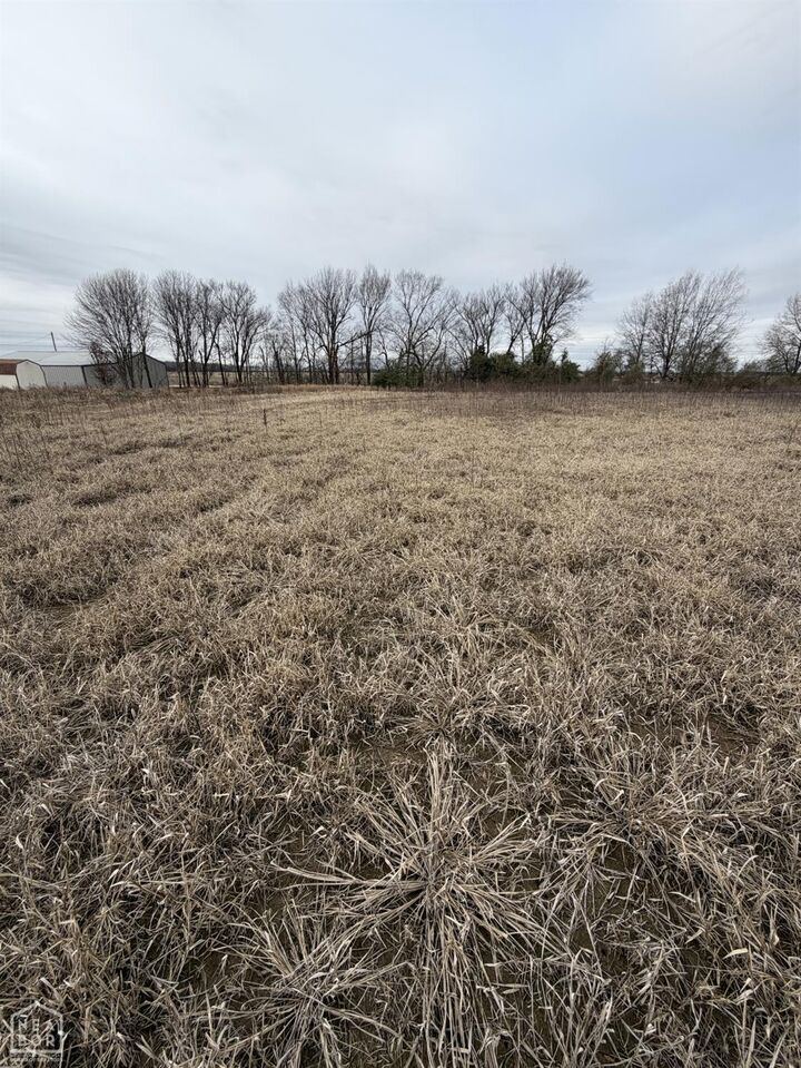 Property Photo:  1 South Hwy 91  AR 72476 