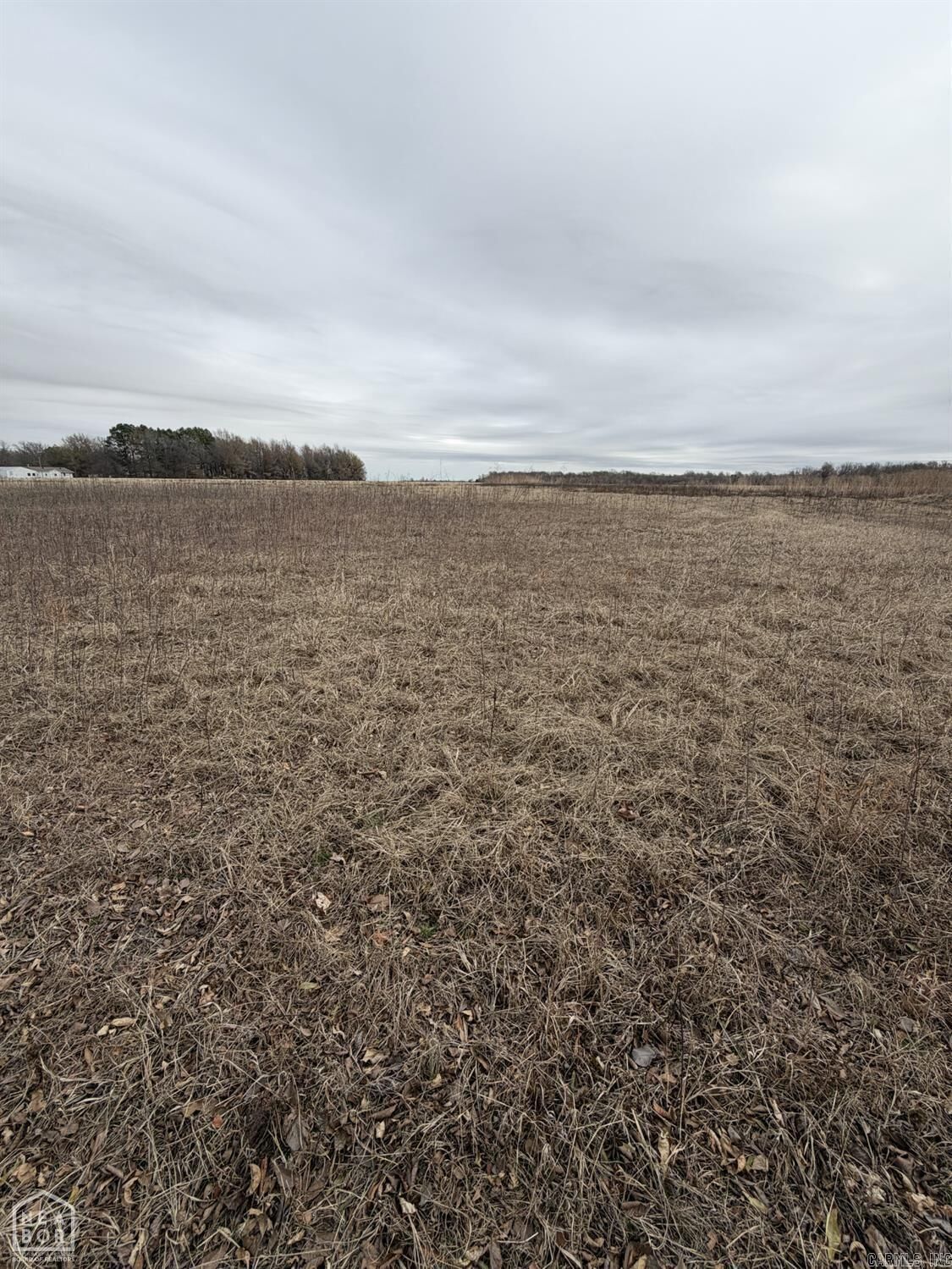 Property Photo:  1 South Hwy 91  AR 72476 