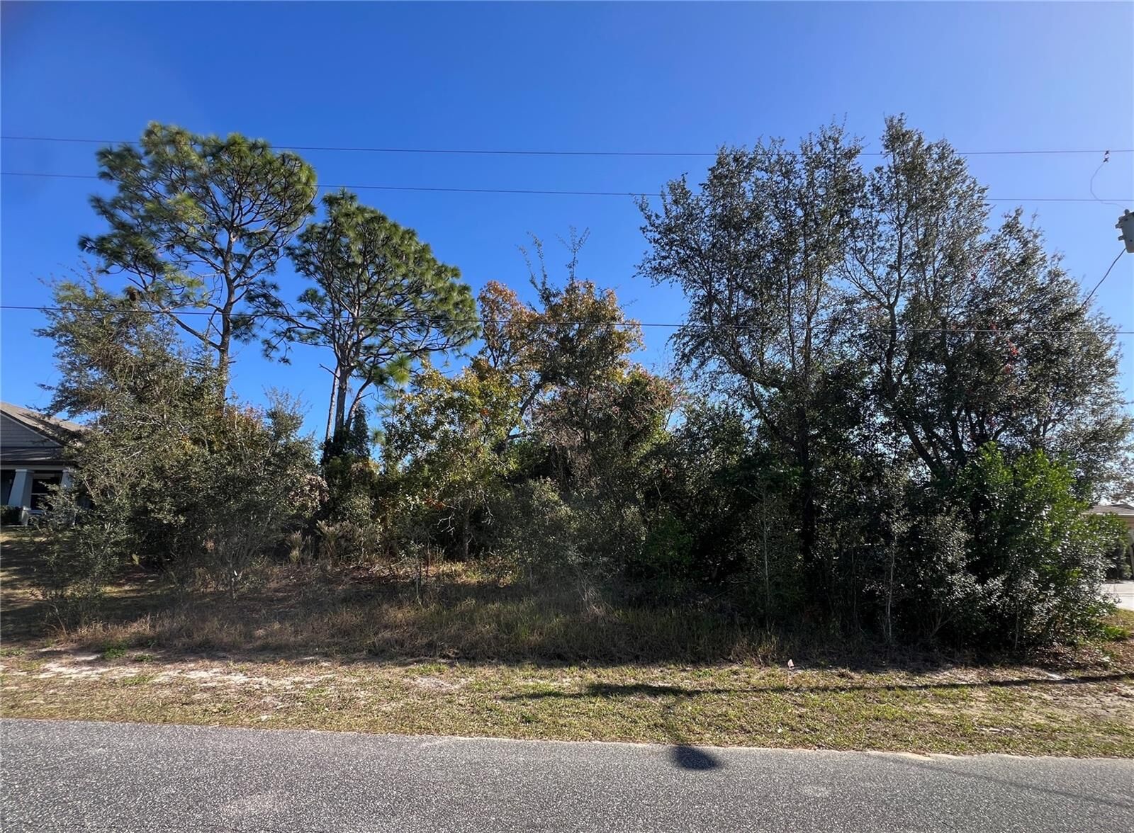 Property Photo:  2460 Matheson Avenue  FL 34608 