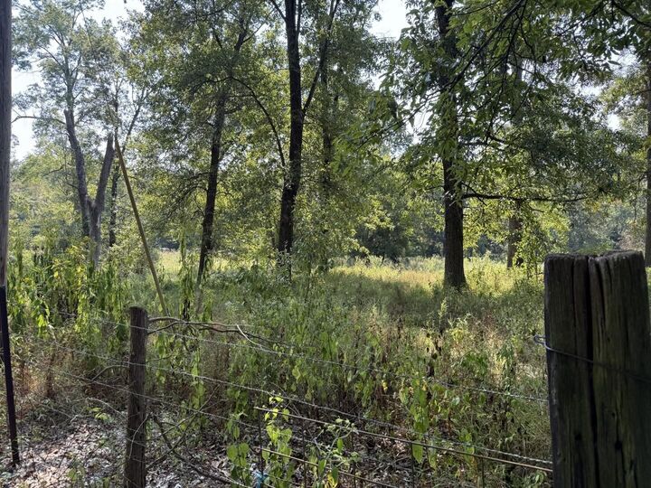 Property Photo: Tbd Harris School Road IL 62951