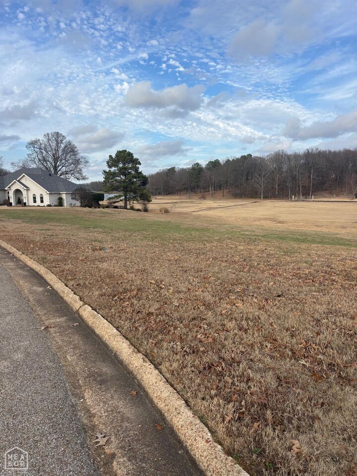 Property Photo:  2410 Ridgepointe  AR 72404 