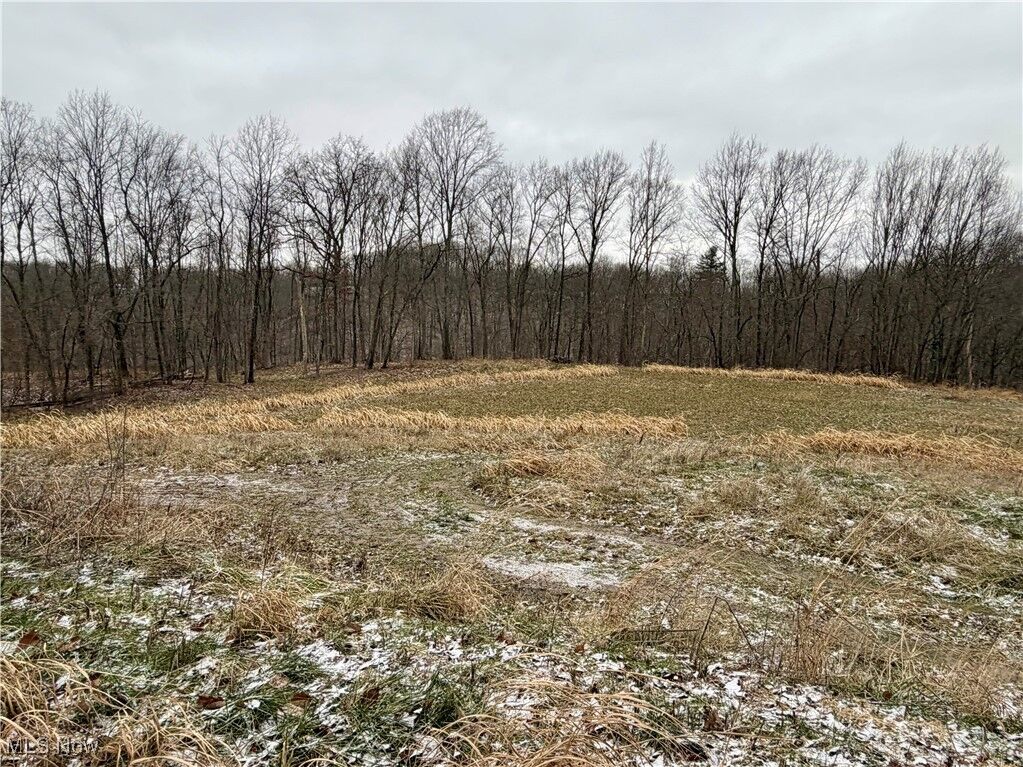 Property Photo: 0 Sealover Hollow Road OH 43771