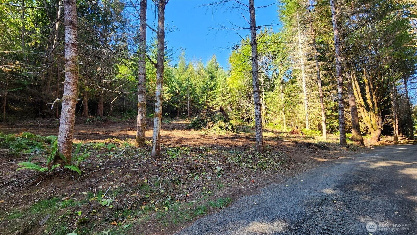 Property Photo:  5704  Duane Lane NW  WA 98502 